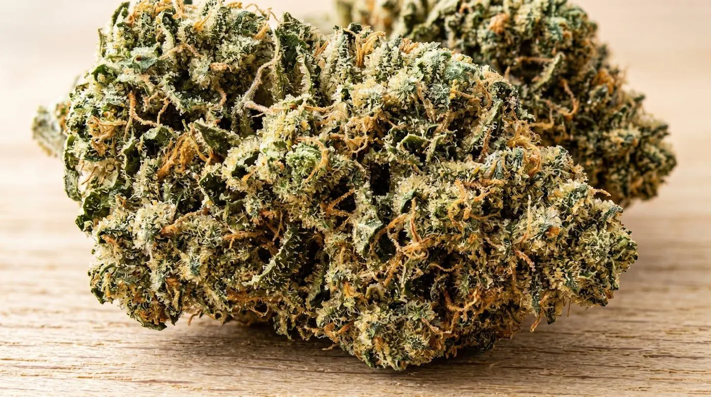 Gros plan macro sur des fleurs de CBD séchées avec trichomes cristallins visibles, posées sur une surface en bois naturel avec profondeur de champ réduite