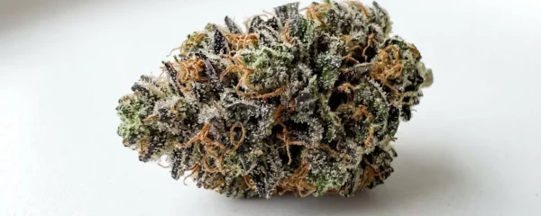 Gros plan macro d'une fleur de CBD séchée montrant des trichomes cristallins denses recouvrant les calices verts et violets avec pistils orange visibles