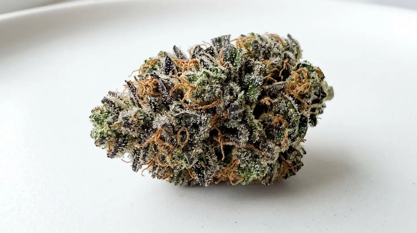 Gros plan macro d'une fleur de CBD séchée montrant des trichomes cristallins denses recouvrant les calices verts et violets avec pistils orange visibles